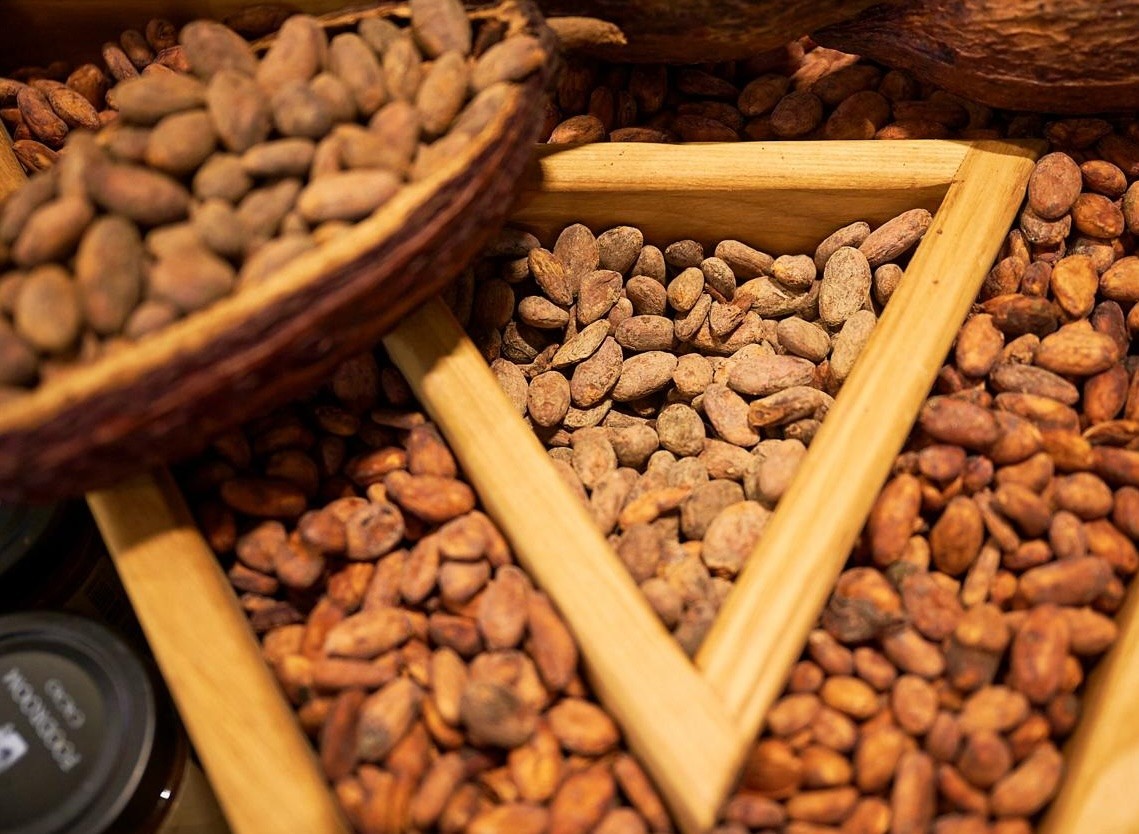 ÐÐ°ÐºÐ°Ð¾-Ð±Ð¾Ð±Ñ Ð¸ Ð¿ÑÐ¾Ð¸Ð·Ð²Ð¾Ð´ÑÑÐ²Ð¾ bean-to-bar ÑÐ¾ÐºÐ¾Ð»Ð°Ð´Ð°